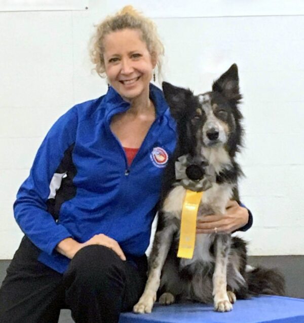 Stunt Dog and Animal Actor Evaluations