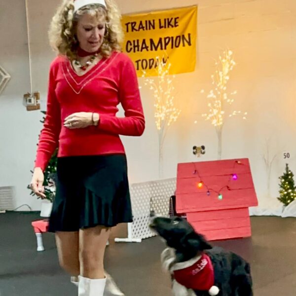 Maisie and I performing at a Holiday Trick Dog Show